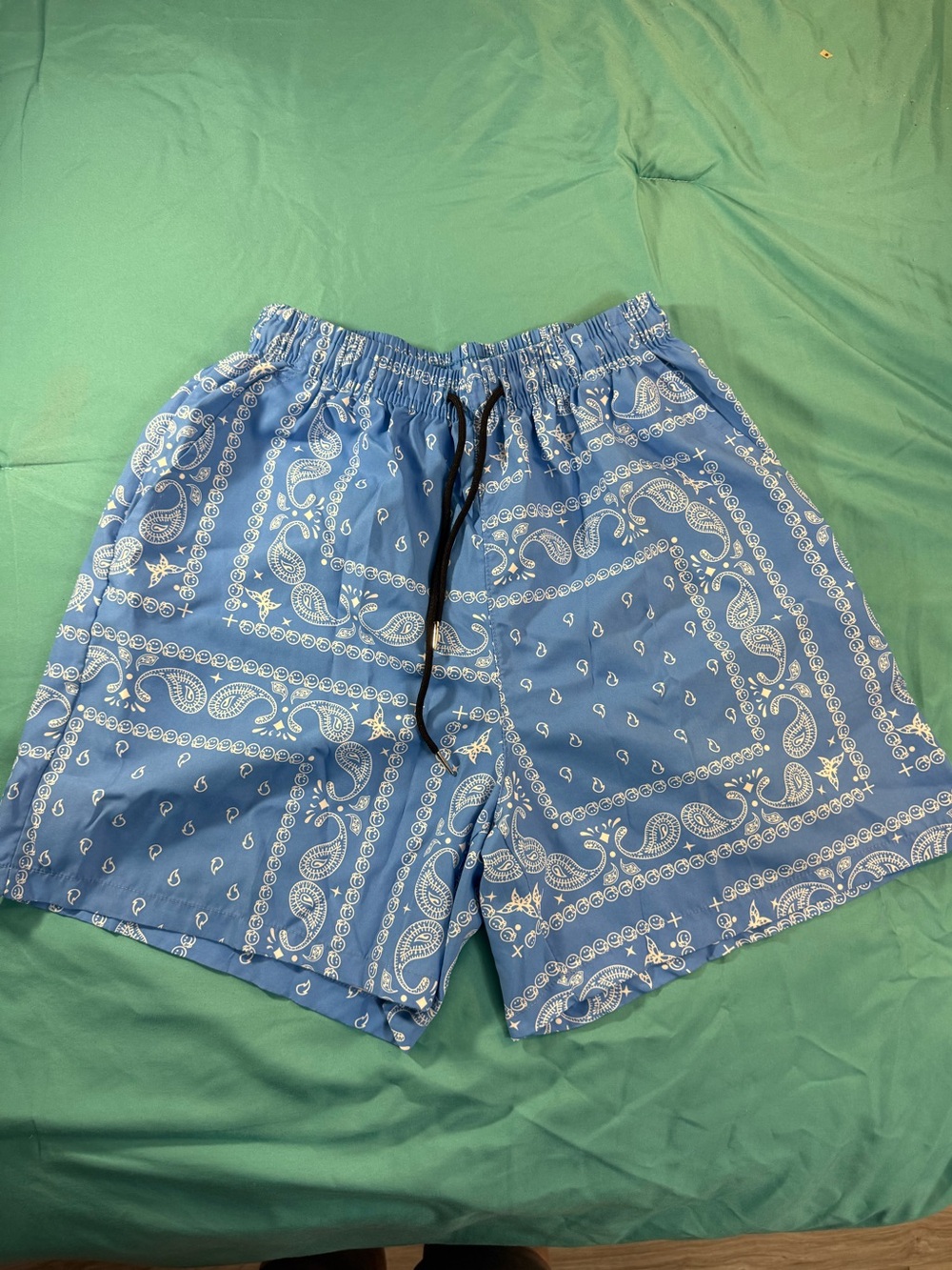 Blue Bandana-Print Boys Swim Board Boho Western Shorts